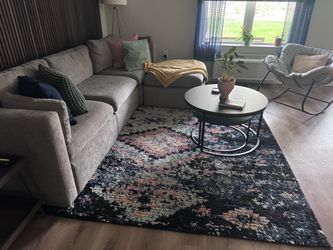 8x10 area rug (https://offerup.com/redirect/?o=UnVncy5jb20=)