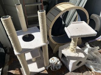 Cat wheel and tree