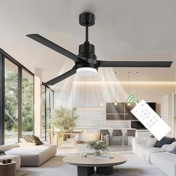 Ceiling fans