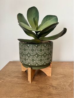 Artificial Succulent in Patterned Ceramic Pot with Wood Stand