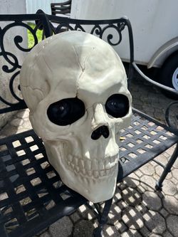 Jumbo skull
