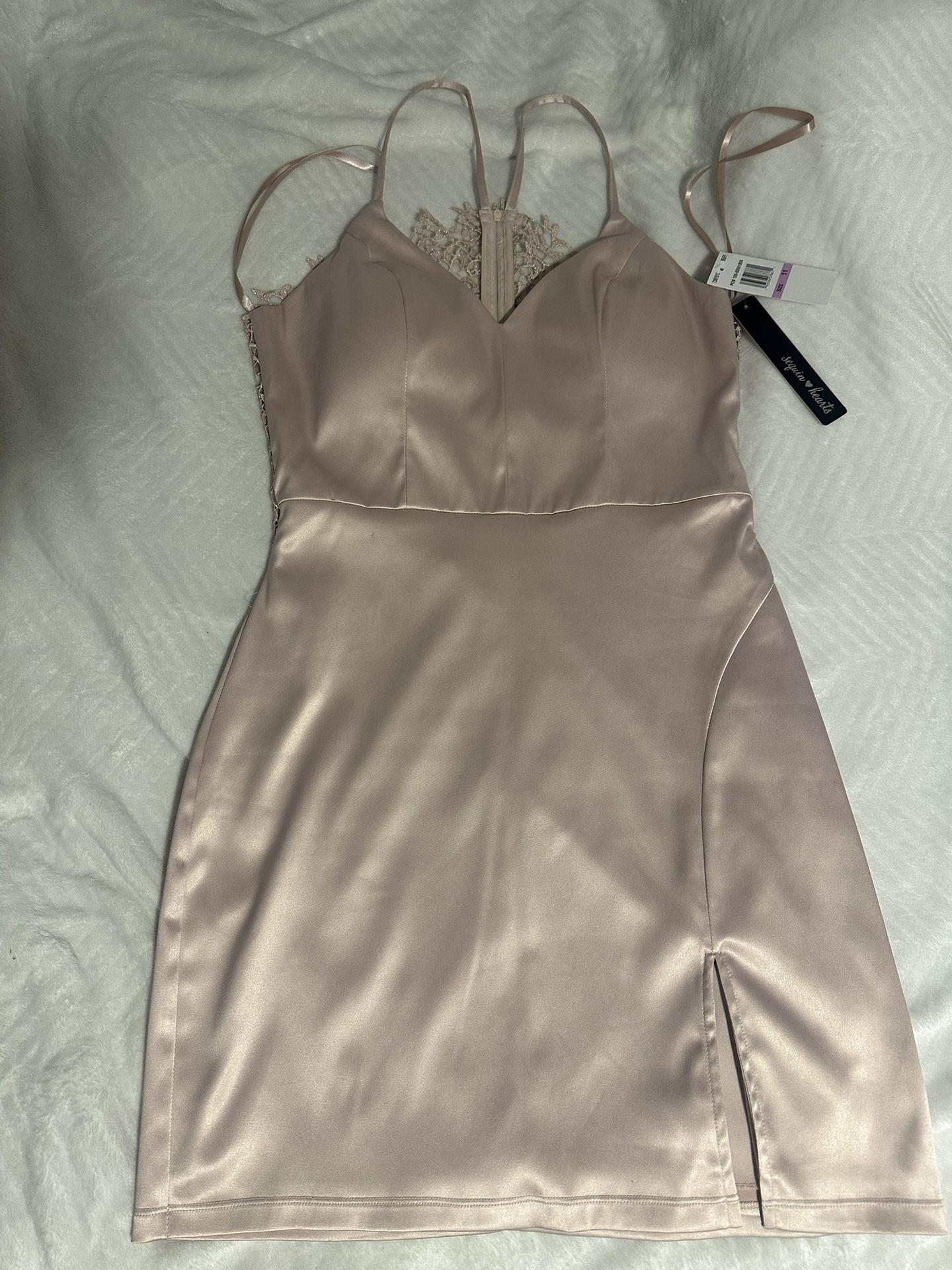 Nude Pink Dress