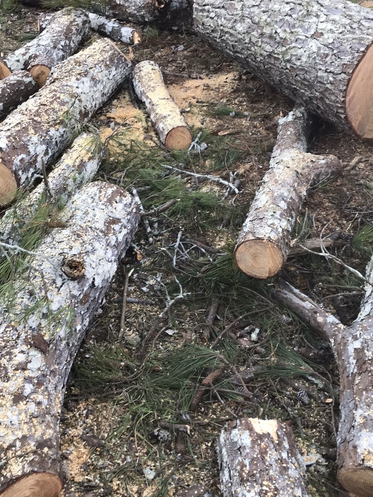 FREE FIREWOOD - Chapin Area