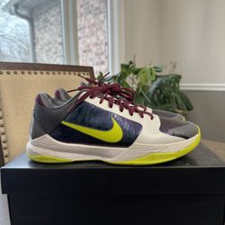 Kobe 5 Protro Chaos Size 11