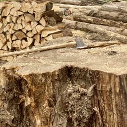 Firewood 