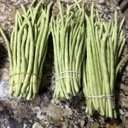 Green Beans / Avichuela 