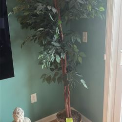 faux ficus tree 