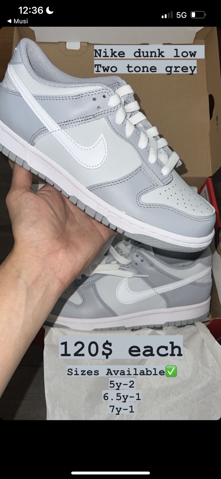 Nike Dunk Two Tone Grey