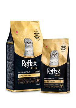 Scottish fold “food”