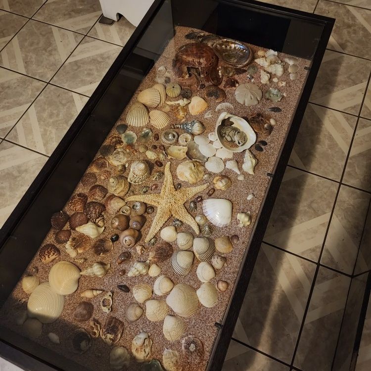 Coffee Table With Display Case