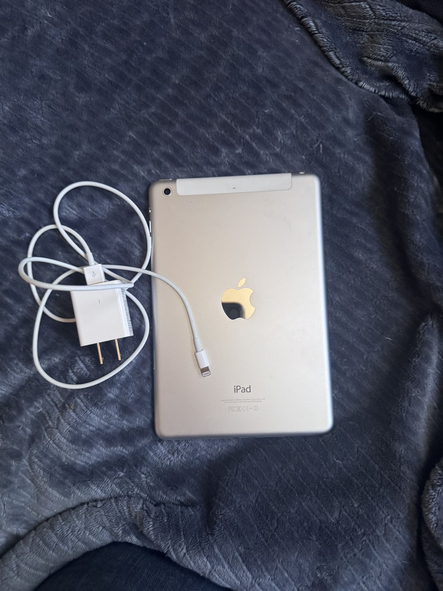 iPad Mini