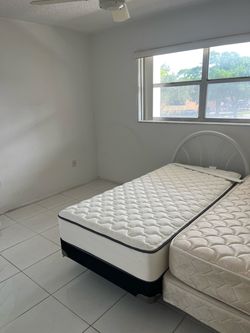 Free , needs to be gone asap