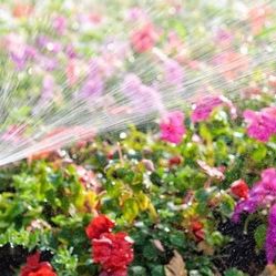 Sprinkler System 