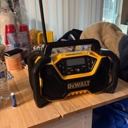 Dewalt Speaker 