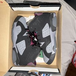 Jordan 6s