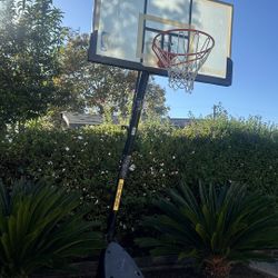 Basket Ball Hoop 