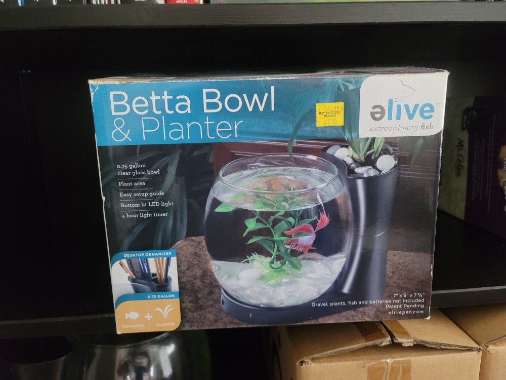 Betta Bowl Fish Tank