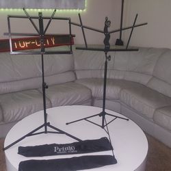 Collapsible Music Stand with carry bag