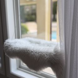 Cat Window Floating Bed 