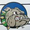 Bulldog liquidators Camarillo