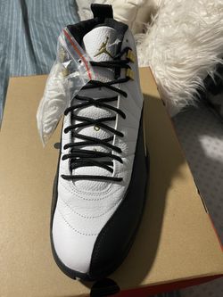 Air jordan 12 retro
