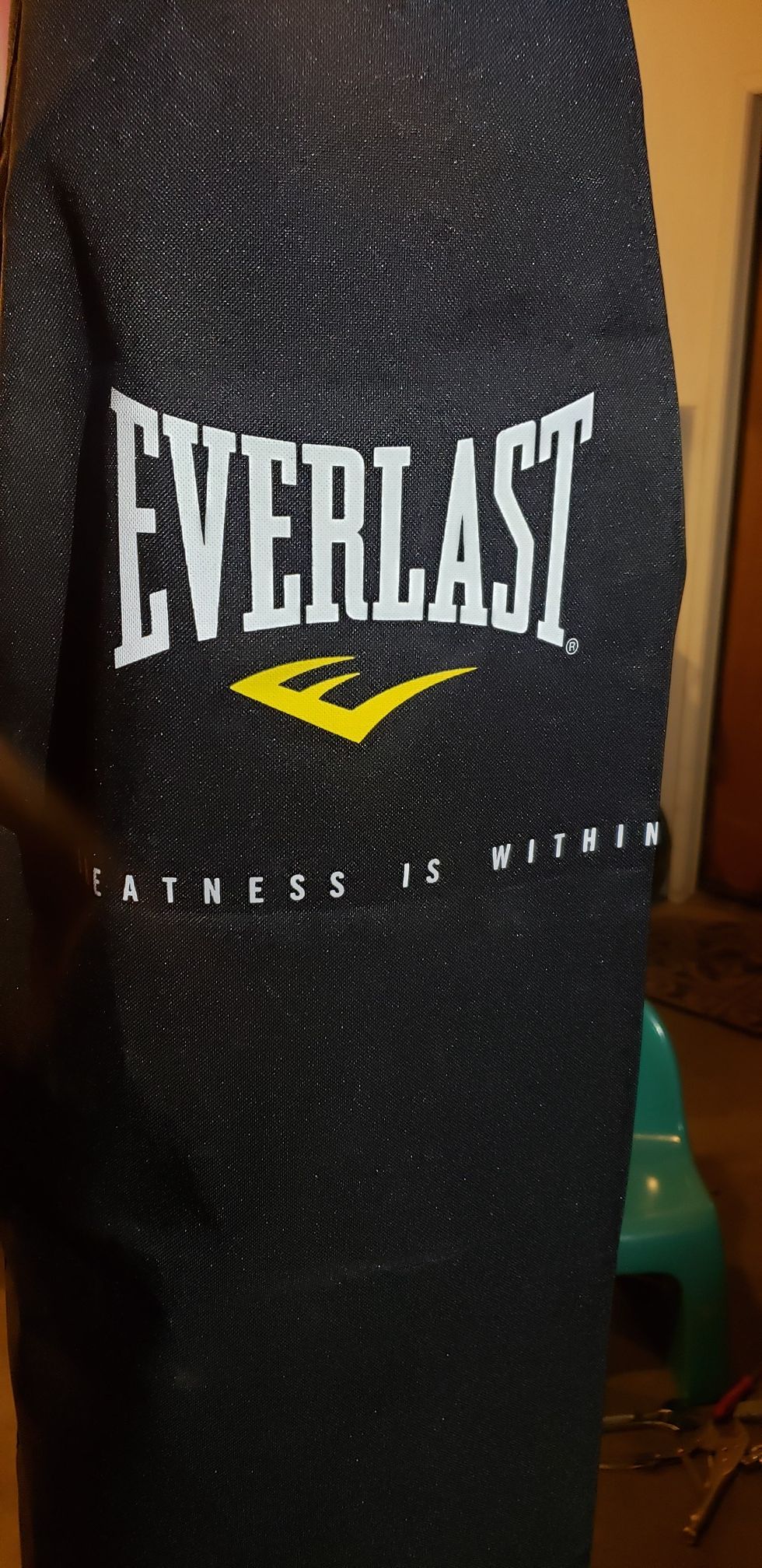 Punching bag Everlast