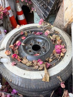 1949-52 Chevy wheels rims