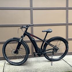 E-Bike - Cube Access Pro