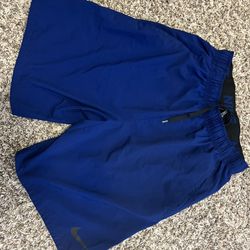 Brand New Nike Shorts (never Worn Before)