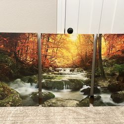 Forest Stream Landscape - Decor Canvas 3 Pieces Photograph Print Wall Art