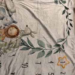 Infant Milestone Blanket