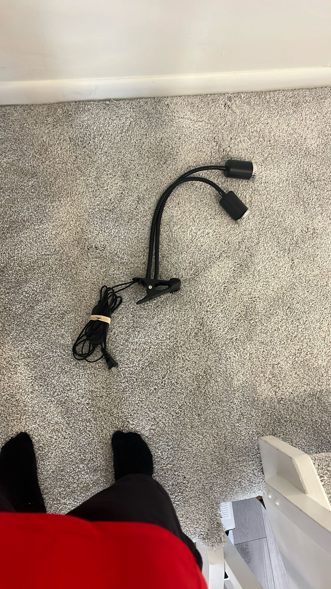 Reptile heat lamp