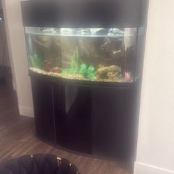 Fish Tank