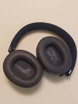 JBL Headphones w/case