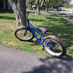 Ma goose Flat Tire Bike 26 Inches