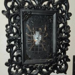 ORNATE VICTORIAN BLACK GOTH ODDITY SPIDER TARANTULA SPIDER TAXIDERMY SWAROVSKI CRYSTAL 3D PICTURE FRAME SHADOWBOX ART DECOR