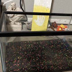 5 Gallon Fish Tank 