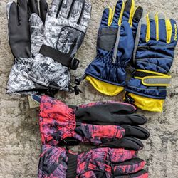 Ski Gloves (New)