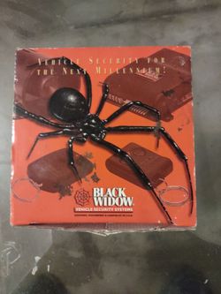 Black widow vehicle security system