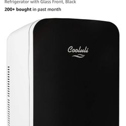 Mini Fridge
