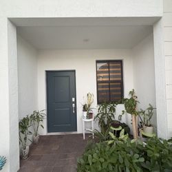 Plants For Sale Need Gone !!!!