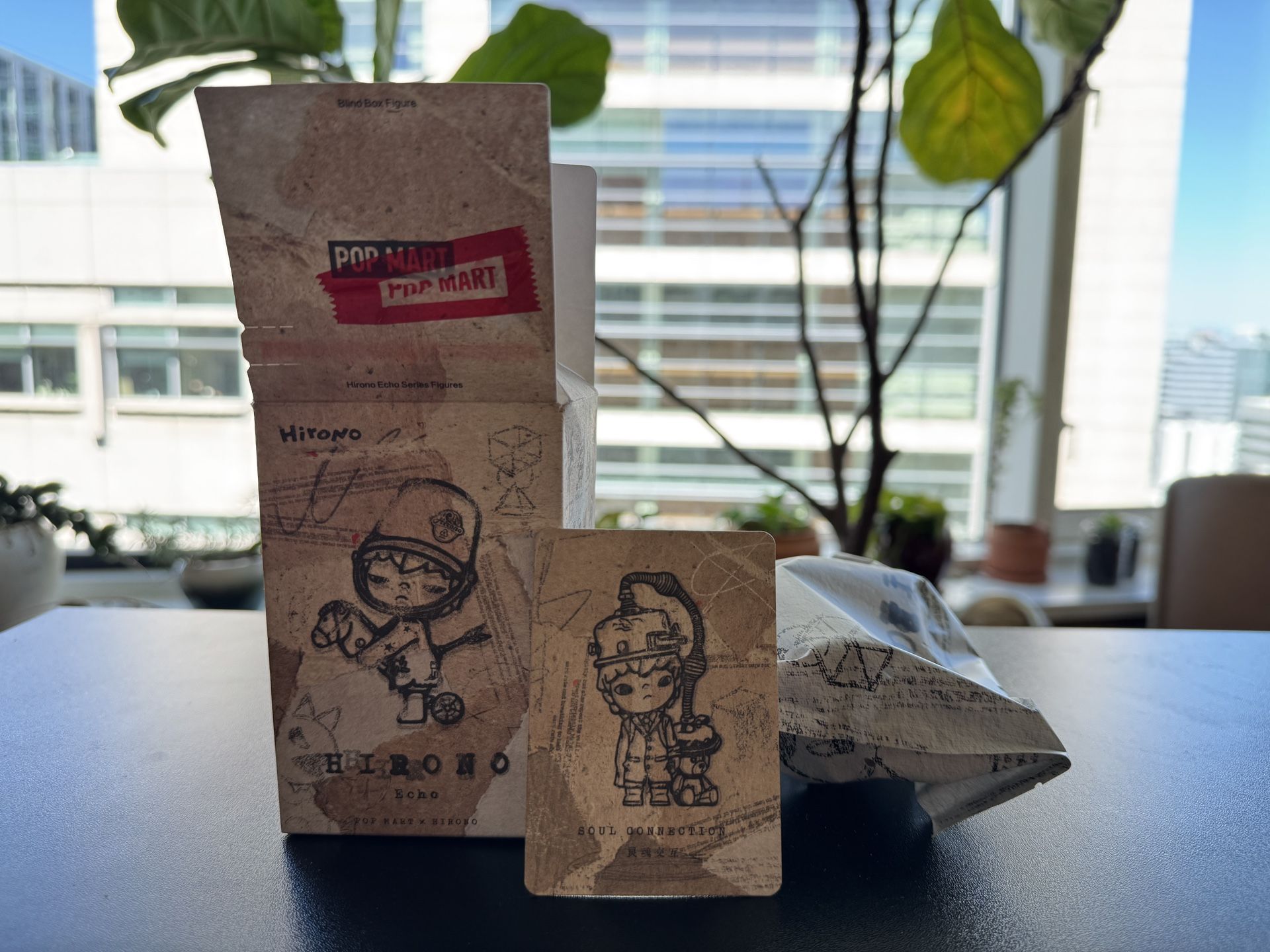 Hirono Echo Series – Soul Connection (Inner Packaging Unopened)