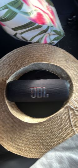 JBL Flip6