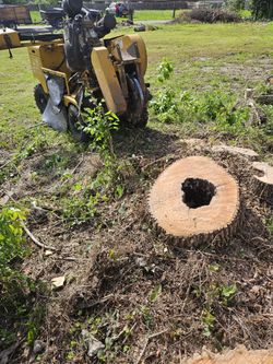 Stump Grinding 