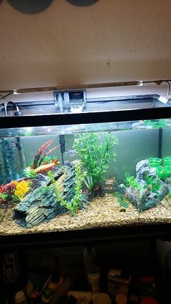 Aquarium