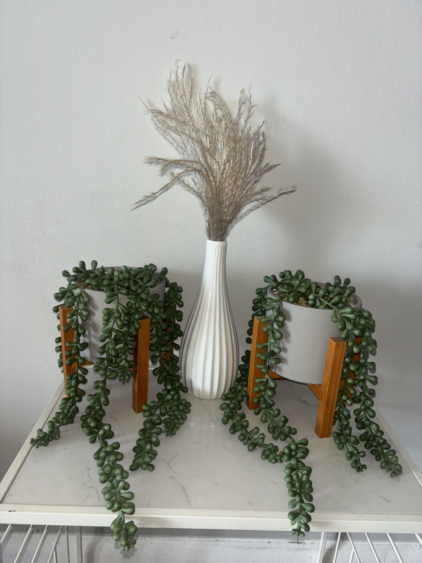 AESTHETIC HOUSE PLANT LOT Accents Decor Home