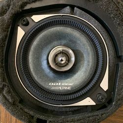 Alpine Speakers