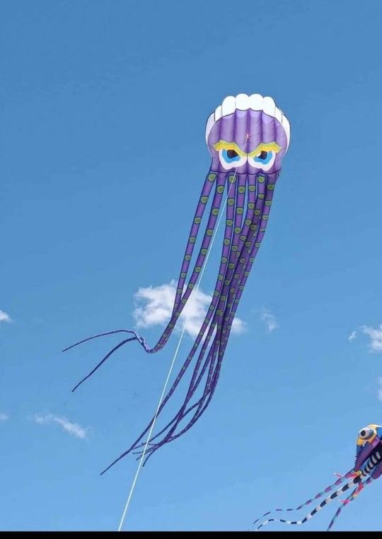 26 Ft Octopus Kite Is $30