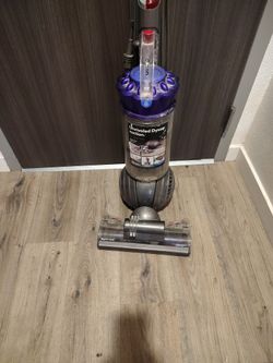 Dyson Ball Animal Plus Vacuum. Works . Being Sitting In Storage But Still Works Great. 