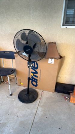 Fan